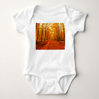 Pittoresk herfstweglandschap romper