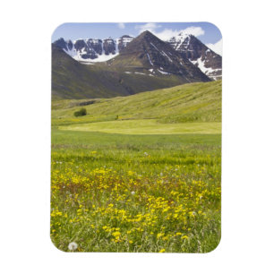 Pittoresk landschap van de Svarfadardalur vallei Magneet