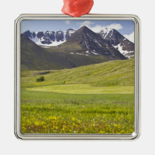 Pittoresk landschap van de Svarfadardalur vallei Metalen Ornament