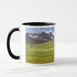 Pittoresk landschap van de Svarfadardalur vallei Mok