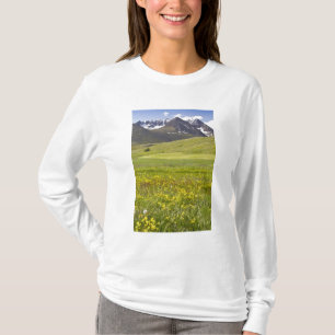 Pittoresk landschap van de Svarfadardalur vallei T-shirt
