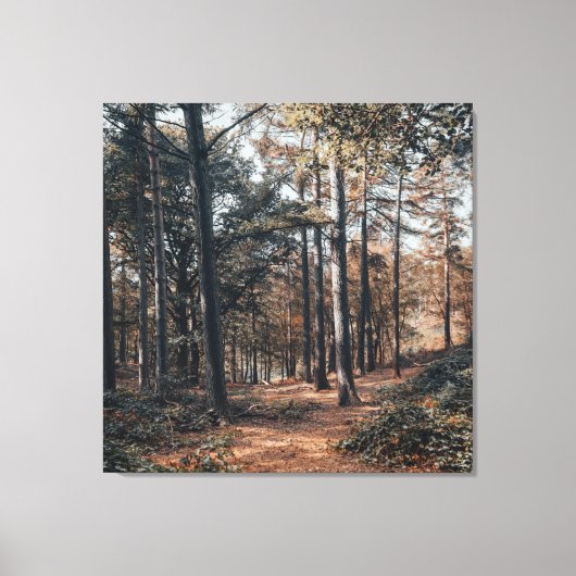 Pittoresk ontspannend bos canvas afdruk (Voorkant)