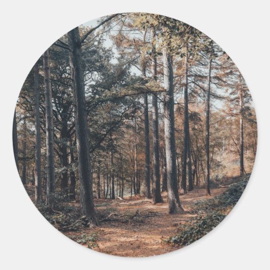 Pittoresk ontspannend bos ronde sticker (Voorkant)