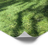 Pittoresk Tree Poster (Hoek)