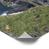 Pittoreske kliffen van Moher en O'Brien's Tower Poster (Hoek)