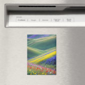 Pittoreske Landschap Bergen Valley Natuur Rustig Magneet (Insitu (Vaatwasser))