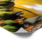 Pittoreske Landschap Forest River Natuur rustig Poster (Hoek)
