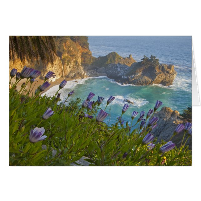 Pittoreske McWay Falls stort op het strand en (Voorkant Horizontaal)