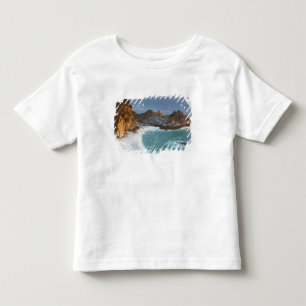 Pittoreske McWay Falls stort op het strand en 2 Kinder Shirts