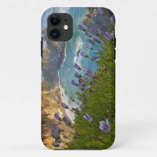 Pittoreske McWay Falls stort op het strand en iPhone 11 Hoesje
