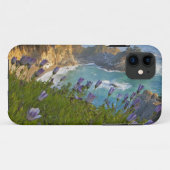 Pittoreske McWay Falls stort op het strand en Case-Mate iPhone Case (Achterkant (horizontaal))