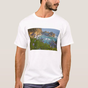 Pittoreske McWay Falls stort op het strand en T-shirt