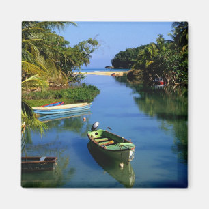 Pittoreske rivier bij Ocho Rios in Jamaica Magneet