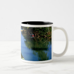Pittoreske rivier bij Ocho Rios in Jamaica Tweekleurige Koffiemok