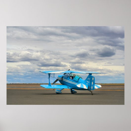 Pitts S1C Poster (Voorkant)