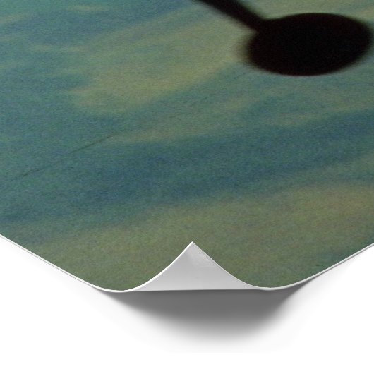 Pitts Special Poster (Hoek)