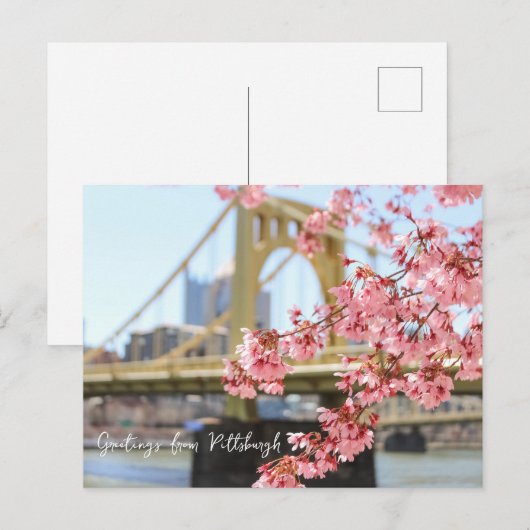 Pittsburgh Bridge en Cherry Blossoms Briefkaart (Voorkant / Achterkant)