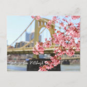 Pittsburgh Bridge en Cherry Blossoms Briefkaart (Voorkant)