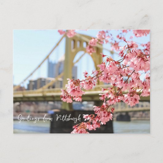 Pittsburgh Bridge en Cherry Blossoms Briefkaart (Voorkant)