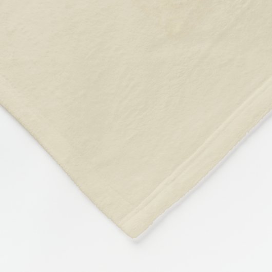 Pittsburgh, PA | Bird's Eye Uitzicht Fleece Deken (Hoek)