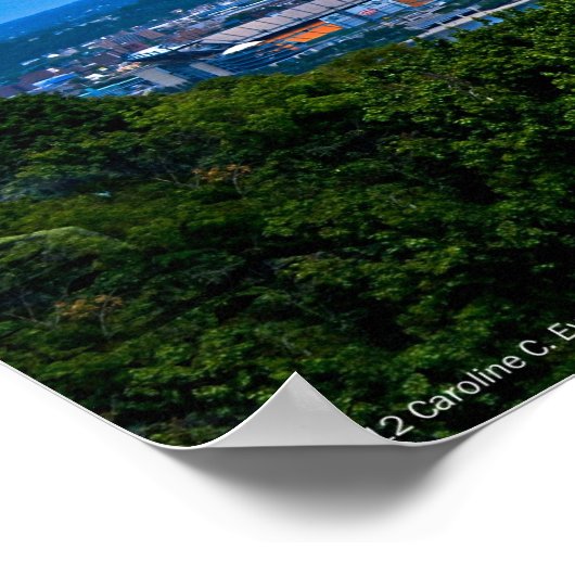 Pittsburgh Panorama Poster (Hoek)