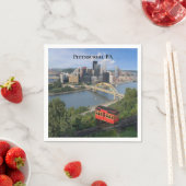 Pittsburgh Pennsylvania Foto Servet (Insitu)