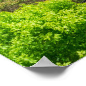 Pittsburgh Pennsylvania Steel City Skyline Inline Poster (Hoek)