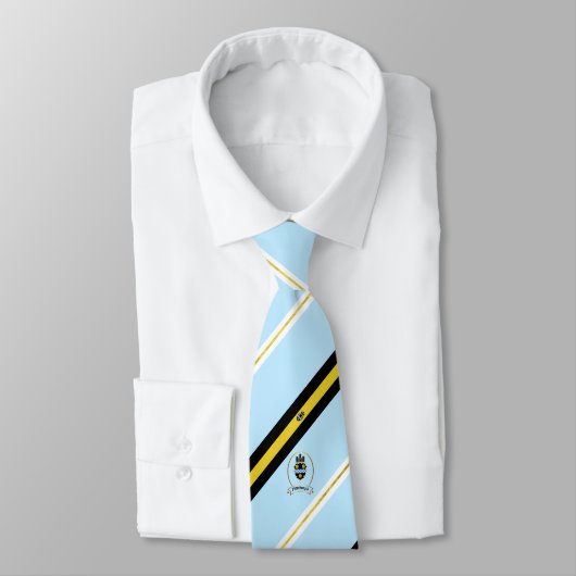 Pittsburgh (Pennsylvania) Stropdas met vlaggen (Gebonden)