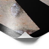 Pittsburgh Steel City Bridge Skyline Pennsylvania Foto Afdruk (Hoek)