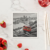 Pittsburgh Steel City Skyline inline Fotografie Servet (Insitu)