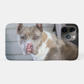 Pittstier Case-Mate iPhone Case (Achterkant (horizontaal))