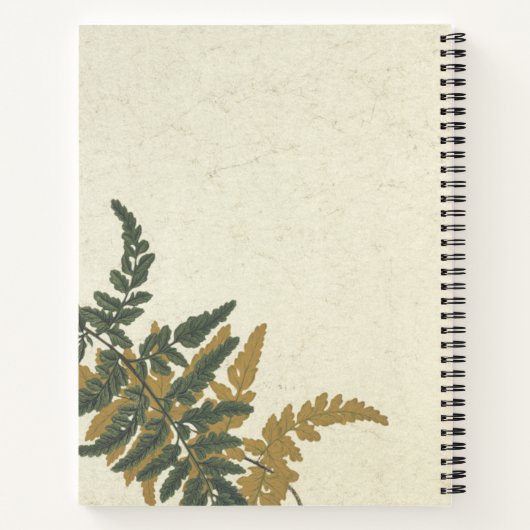 Pityrogramma chrysophylla varen notitieboek (Achterkant)