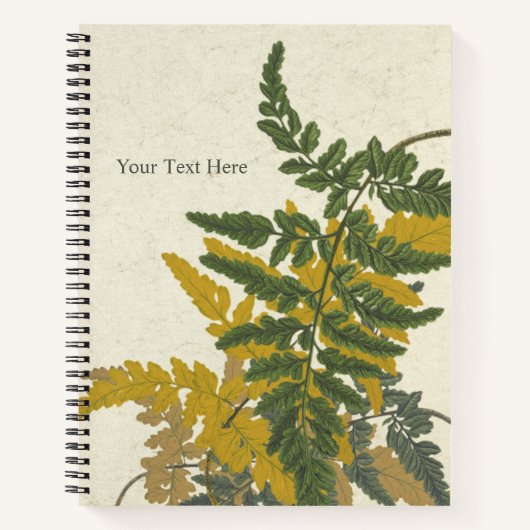 Pityrogramma chrysophylla varen notitieboek (Voorkant)