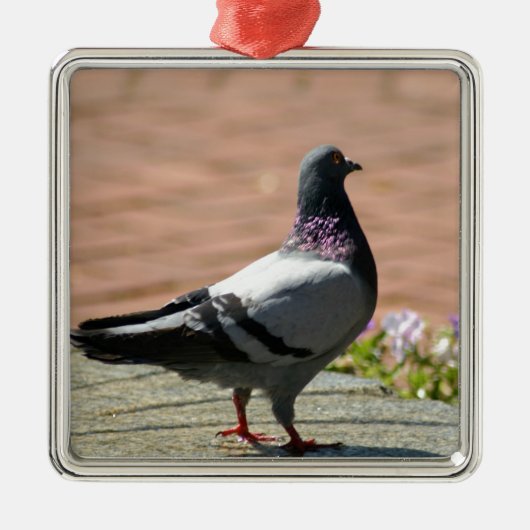 Piurfoto Metalen Ornament (Voorkant)