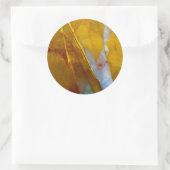 Piute-jaspis Ronde Sticker (Tas)