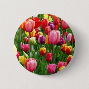 pixabay.comentulips-tulp-bed-kleurrijk-kleur-52126 ronde button 5,7 cm
