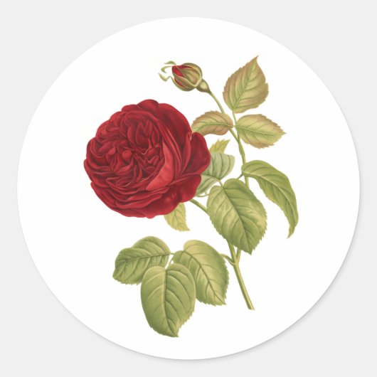 PixDezine Victoriaans rode roos/redoute Ronde Sticker (Voorkant)