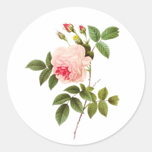 PixDezine  Victoriaans rozen/redoute Ronde Sticker (Voorkant)