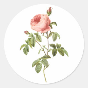 PixDezine  Victoriaans rozen/redoute Ronde Sticker