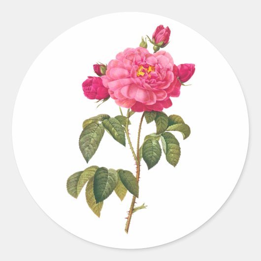PixDezine  Victoriaans rozen/redoute Ronde Sticker (Voorkant)