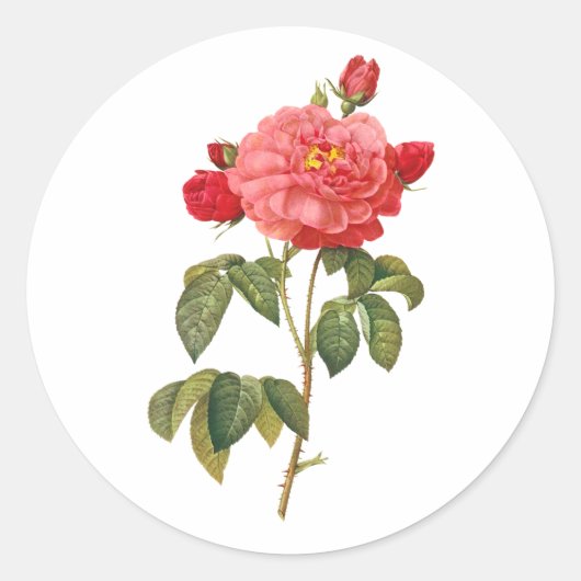 PixDezine  Victoriaans rozen/redoute Ronde Sticker (Voorkant)
