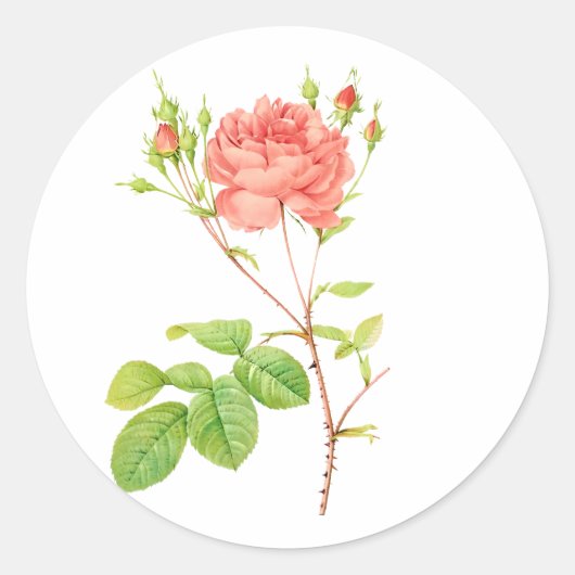 PixDezine  Victoriaans rozen/redoute Ronde Sticker (Voorkant)
