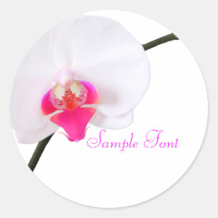 PixDezine witte orchidee/DIY achtergrond kleur Ronde Sticker
