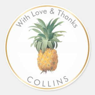 PixDezines  ananas/DIY Bedankt Ronde Sticker