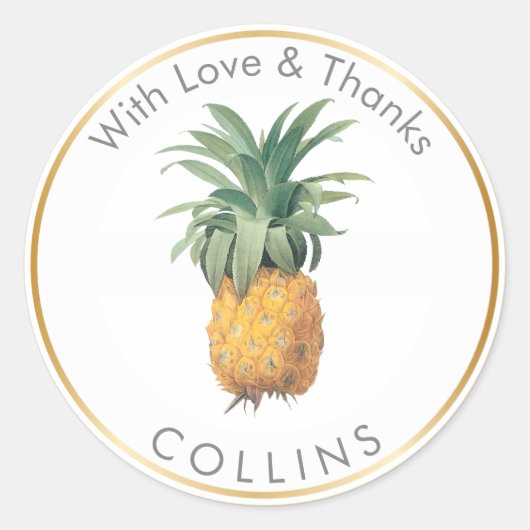 PixDezines  ananas/DIY Bedankt Ronde Sticker (Voorkant)
