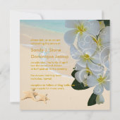 PixDezines BEACH PLUMERIA LEI+STARFISH+SWIRL Kaart (Achterkant)