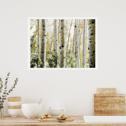 PixDezines Berkenbomen Poster (Keuken)