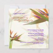 PixDezines BIRD van PARADISE/DIY Background Color Kaart (Achterkant)