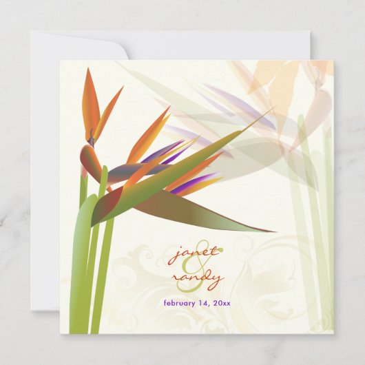 PixDezines BIRD van PARADISE/DIY Background Color Kaart (Voorkant)