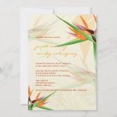 PixDezines BIRD van PARADISE/DIY Background Color Kaart (Achterkant)